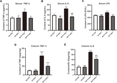 Human Umbilical Cord Mesenchymal Stem Cells Improve Locomotor Function in Parkinson’s Disease Mouse Model Through Regulating Intestinal Microorganisms